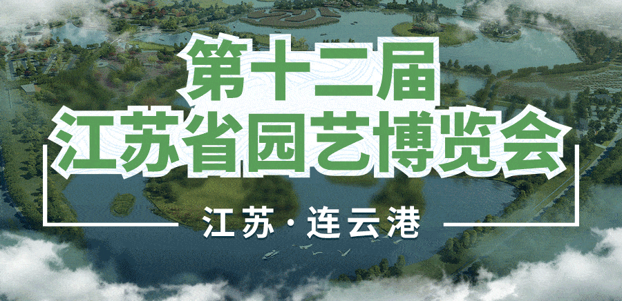 八方手机城:“走！带你提前去瞧瞧~”