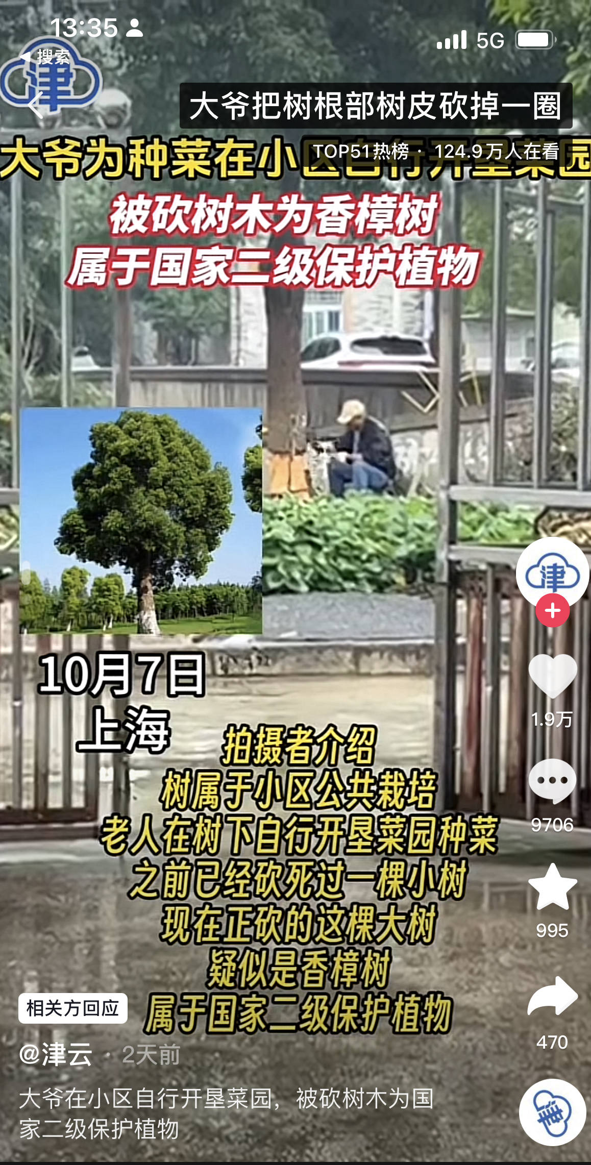 上海一七旬老人在小区砍香樟树开垦菜园？已口头警告，将救护树木