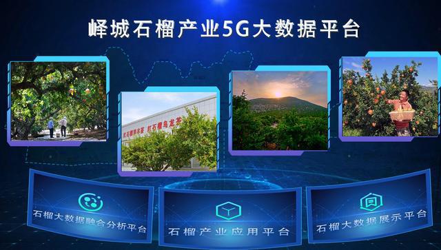 石榴官方客户端石榴云客户端下载