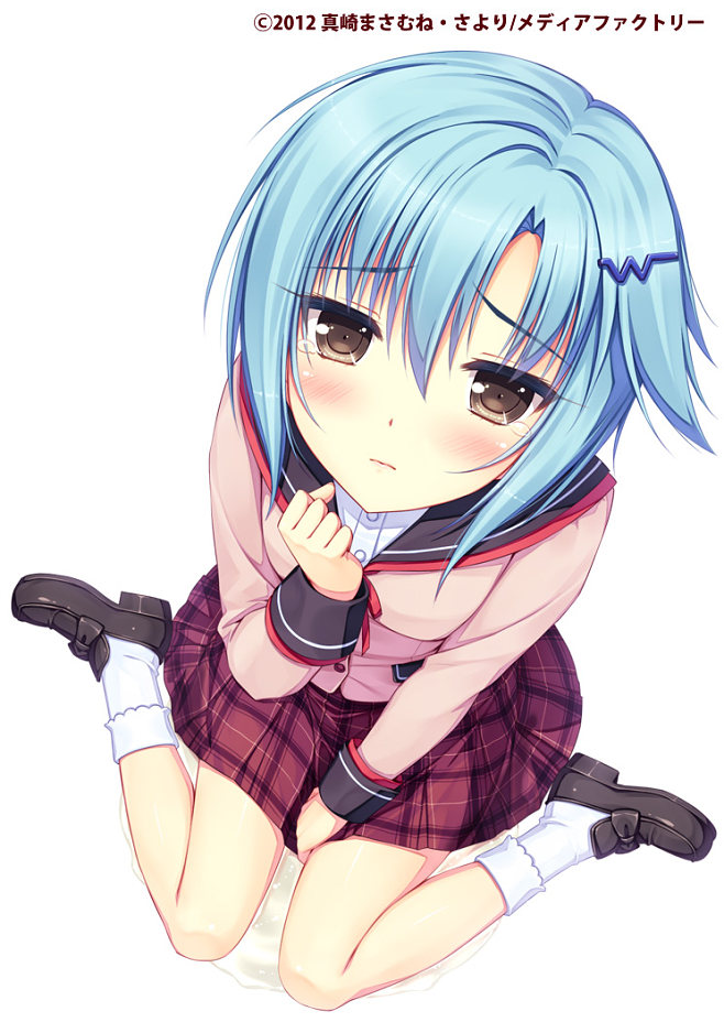 关于pixiv官方客户端pixiv.net的信息