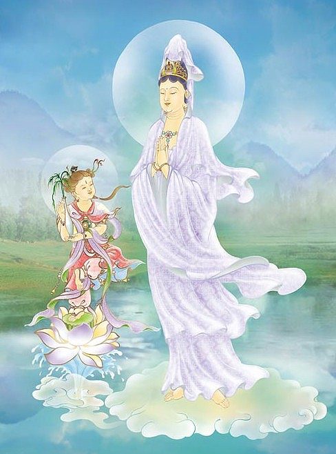 手机版佛门网通达信手机版官方下载