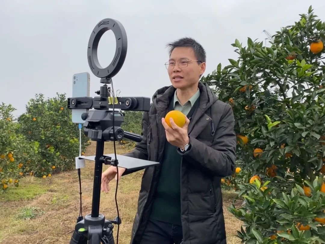 画屏分宜客户端的运营易互动手机投屏下载新版本