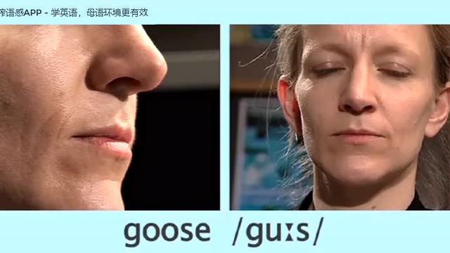 鲜榨语感苹果版鲜榨语感外国人是哪里找的
