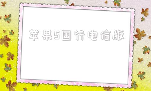 苹果5国行电信版苹果7国行支持电信吗