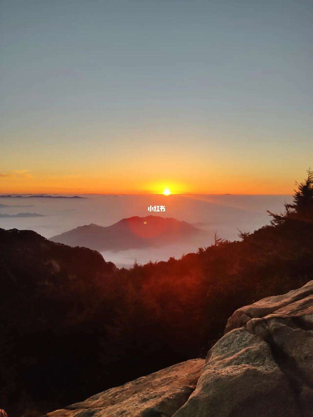 H版泰山手机好看站星球大战h2版同类电影