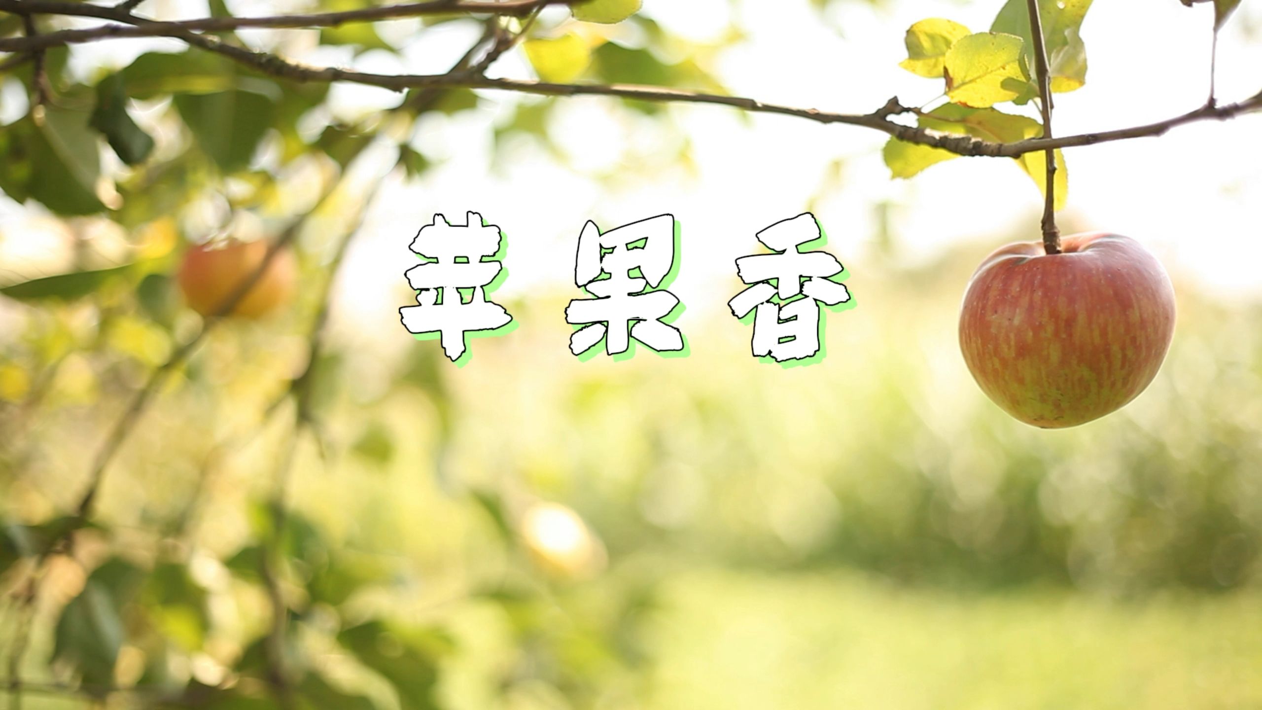 苹果版好兔视频好兔视频网页版官网入口