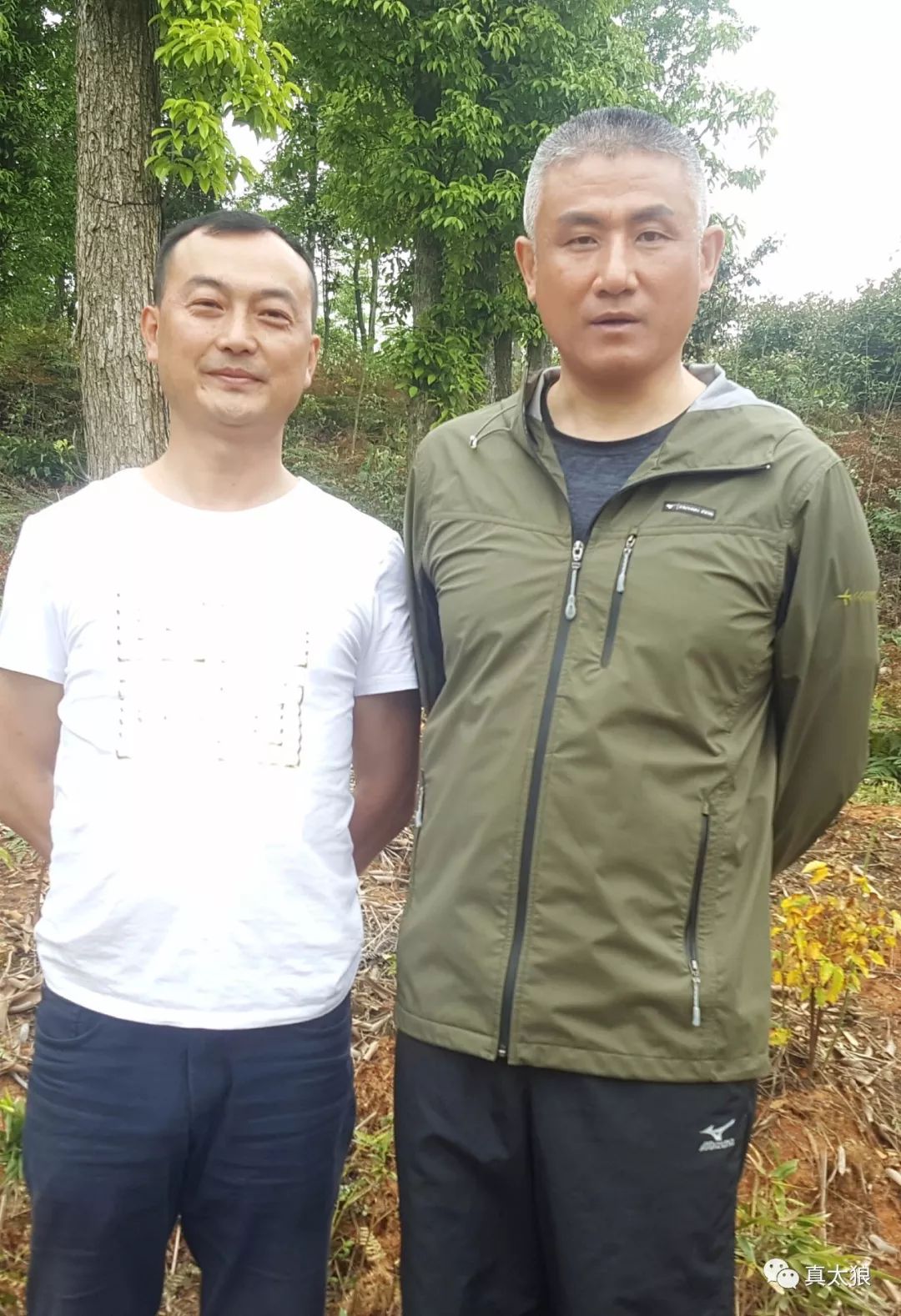 特战英雄苹果版战塔英雄苹果下载