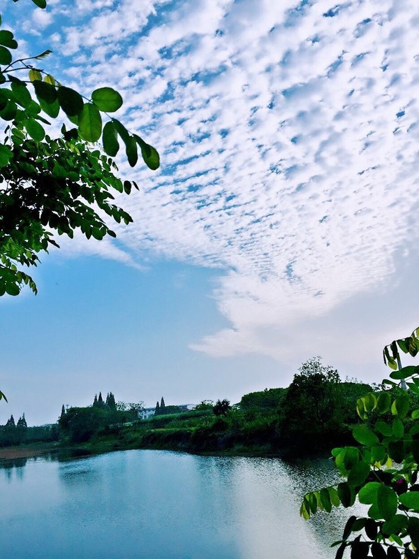 爱拍原创手机版下载(爱拍原创手机版下载安装)-第4张图片-QuickQ官网