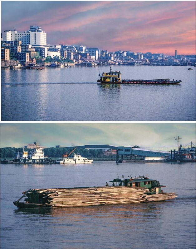 chinadaily手机版(chinadaily language)-第1张图片-QuickQ官网