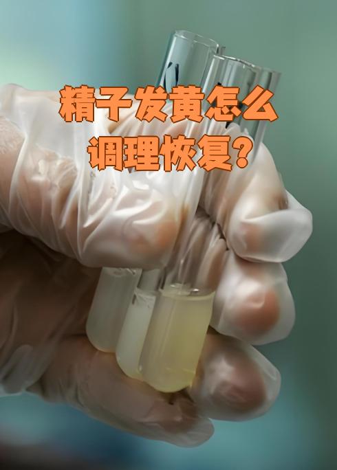 精子大战美女2手机版的简单介绍-第3张图片-QuickQ官网 精子大战美女2手机版的简单介绍-第3张图片-QuickQ官网