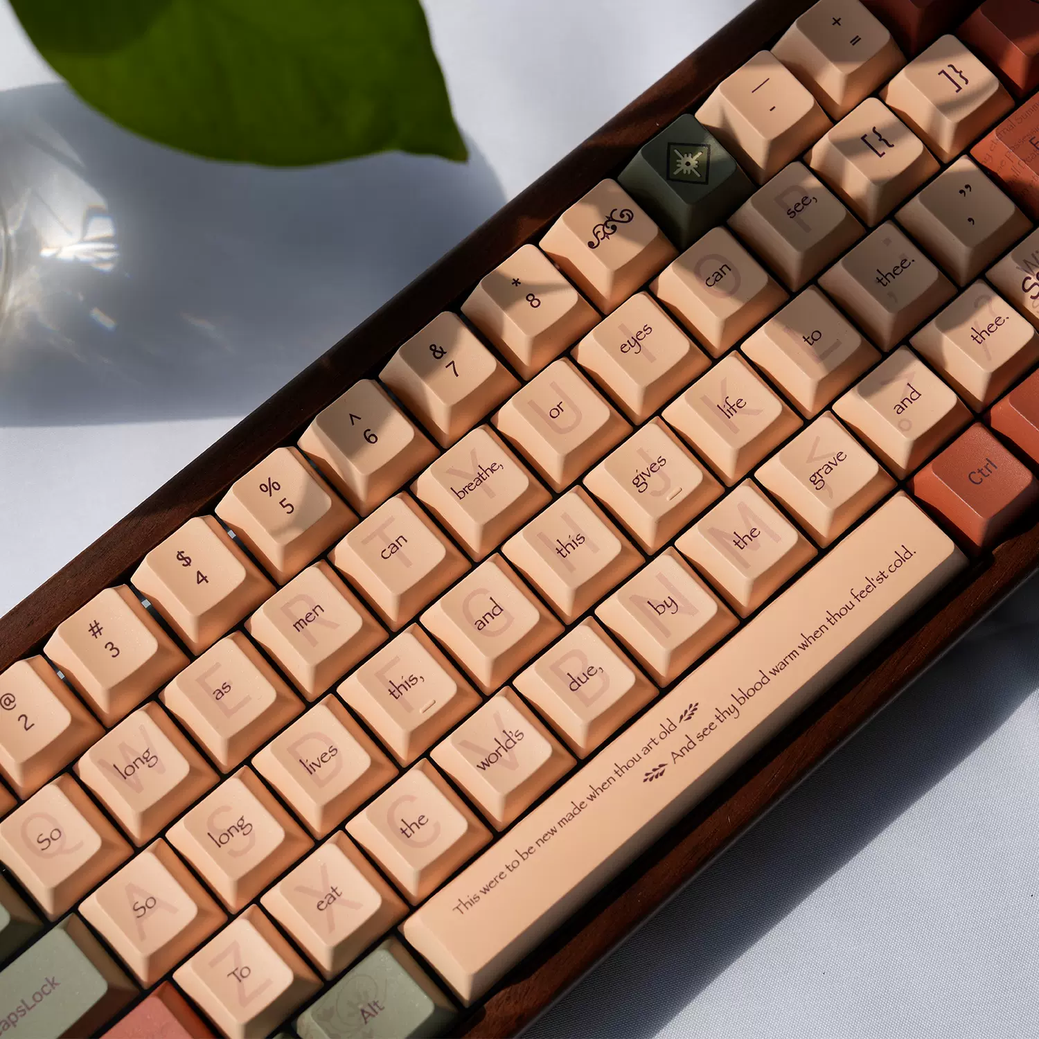 66键盘苹果版手机版(66键盘下载安装安卓)-第5张图片-QuickQ官网 66键盘苹果版手机版(66键盘下载安装安卓)-第5张图片-QuickQ官网