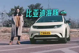 海豚vpm手机版(海豚root官网)