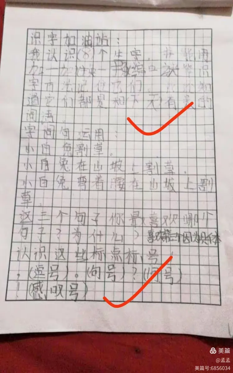 17作业手机版学生端(17作业网一起作业)-第3张图片-QuickQ官网 17作业手机版学生端(17作业网一起作业)-第3张图片-QuickQ官网